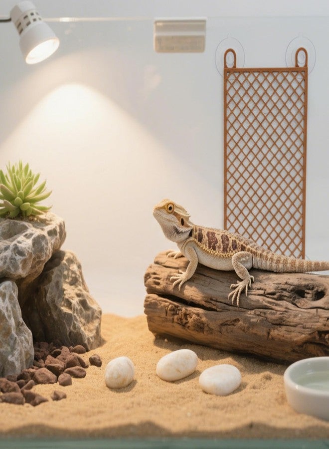 لعبة تسلق على شكل سلم لسرطان البحر الناسك من ساني موف، إكسسوارات لسرطان البحر الناسك، زينة لحوض الببغاء والسحلية والحرباء والزواحف - Image 5